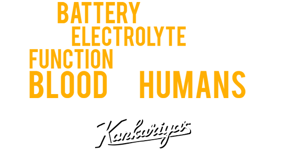 your battery needs An electrolyte to function as blood in humans